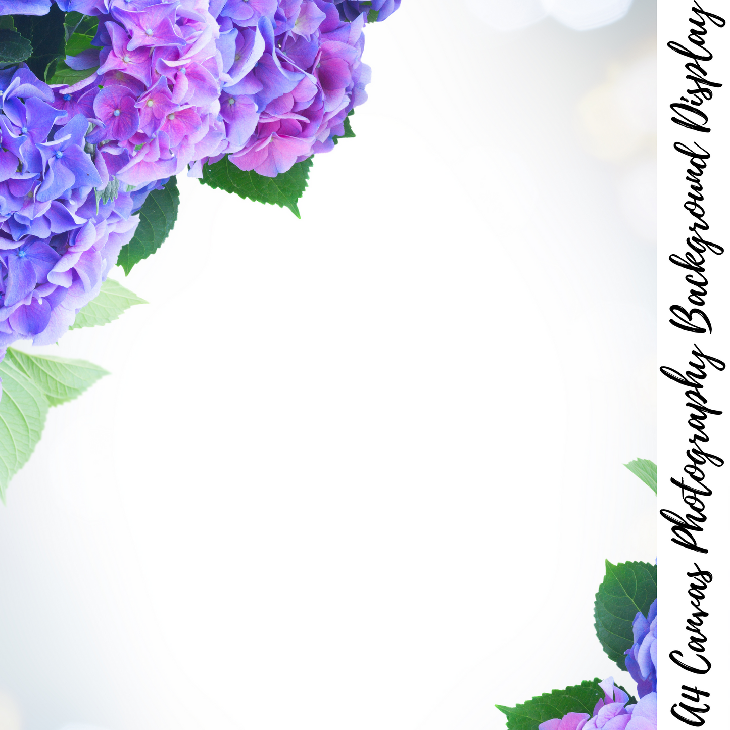 Floral Photography Background Display