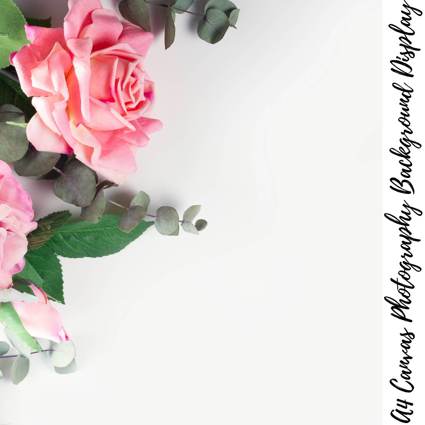 Floral Photography Background Display