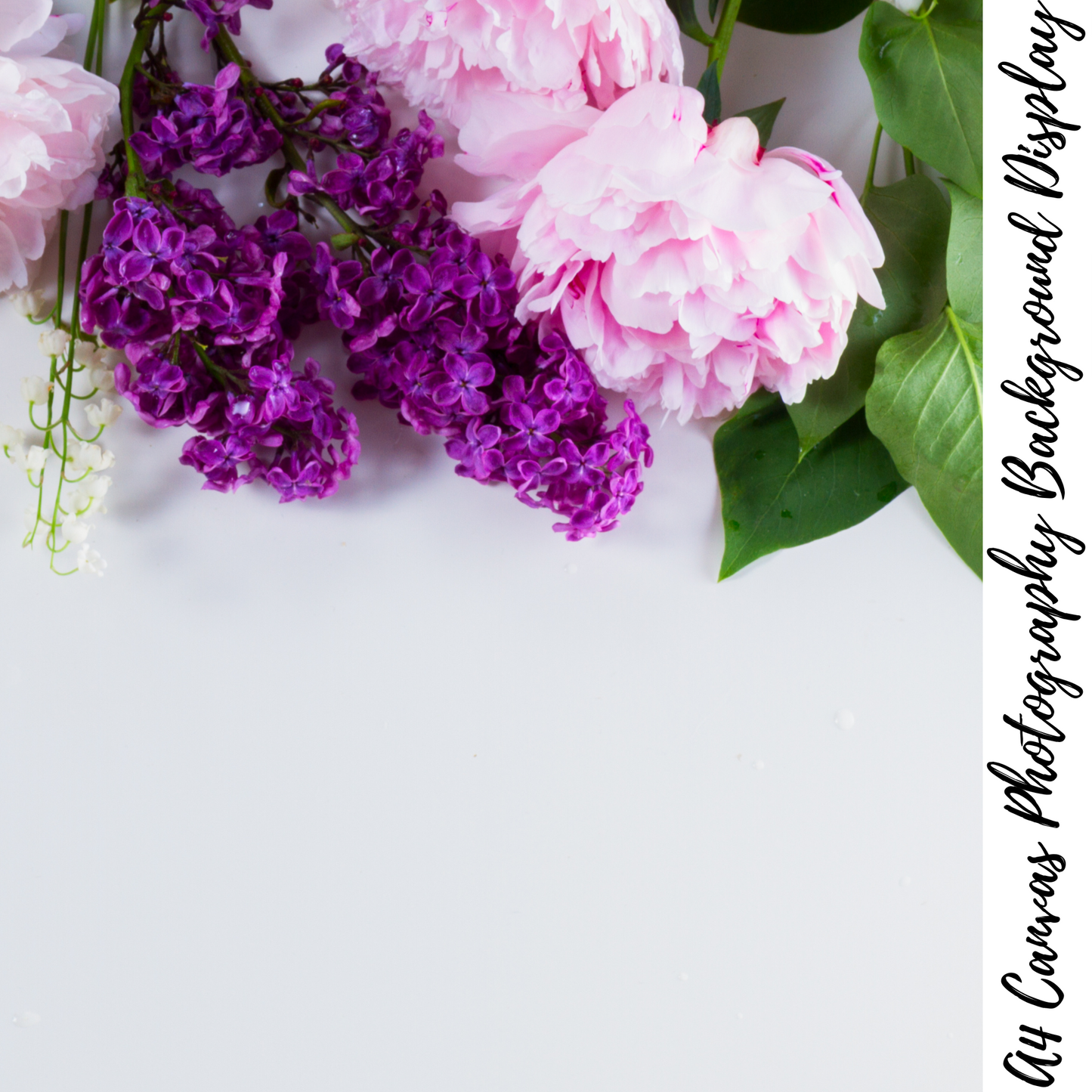 Floral Photography Background Display