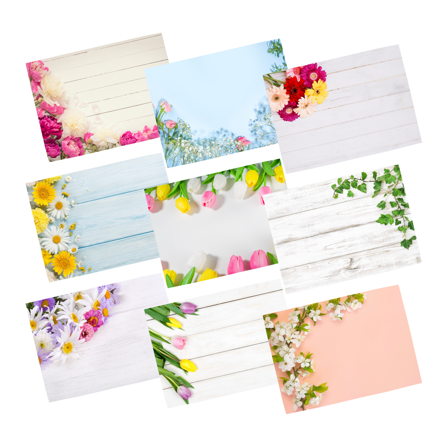 10 Mixed Floral Display Cards • Pack Of 10