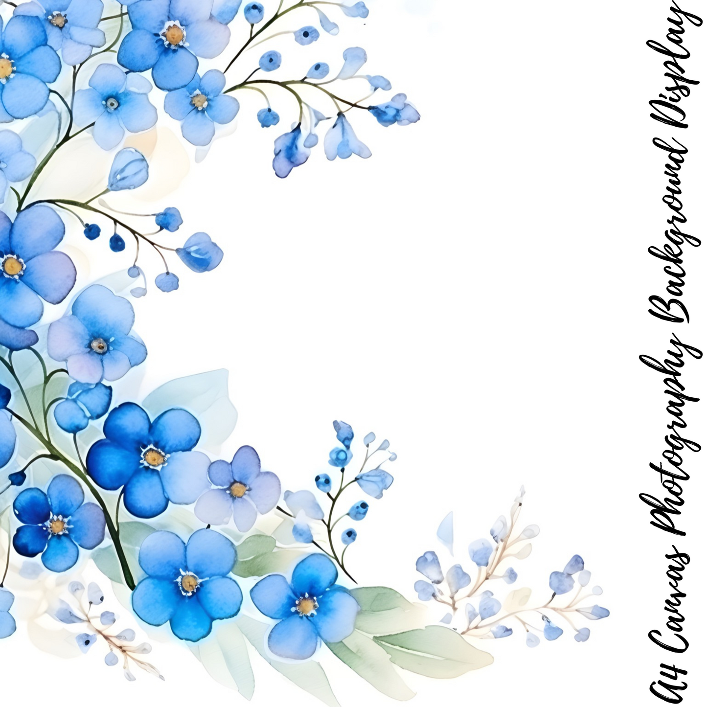 Forget Me Nots Photography Background Display