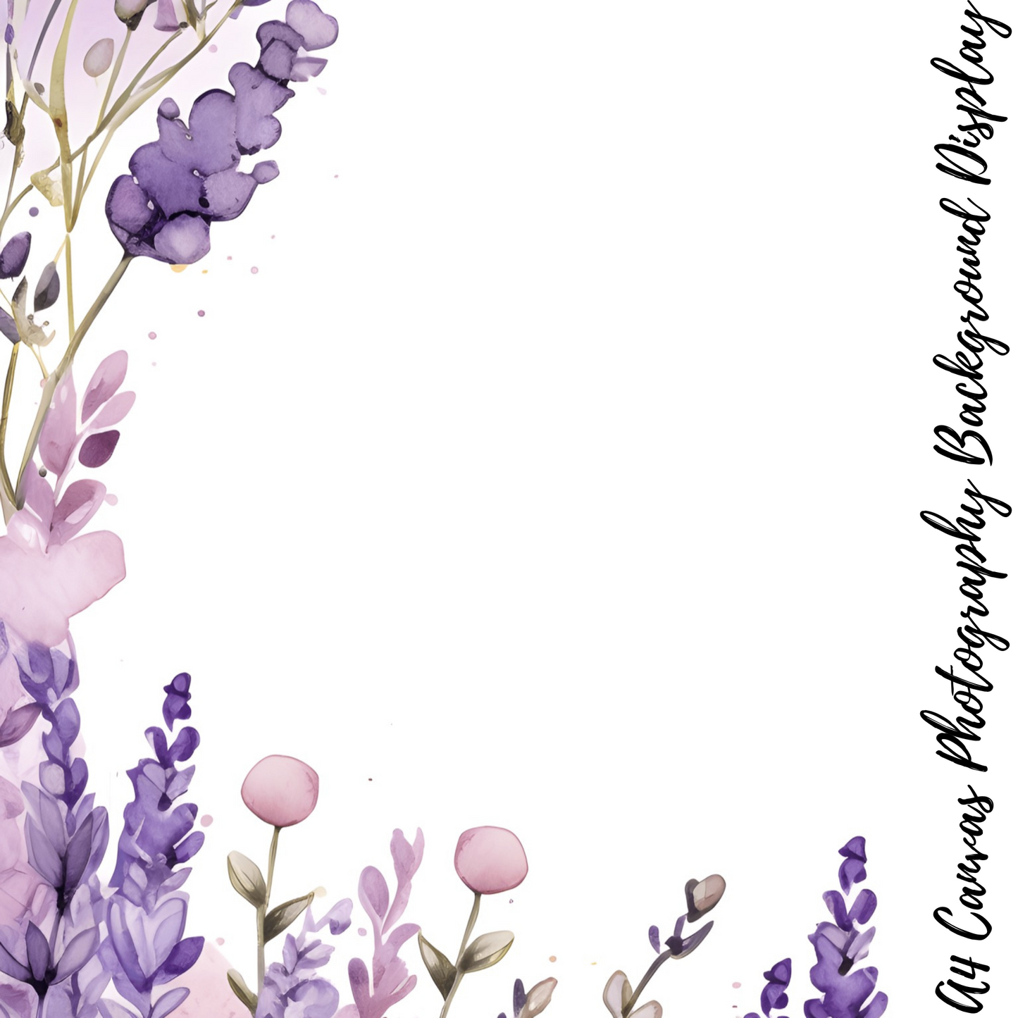 Lavenders Photography Background Display