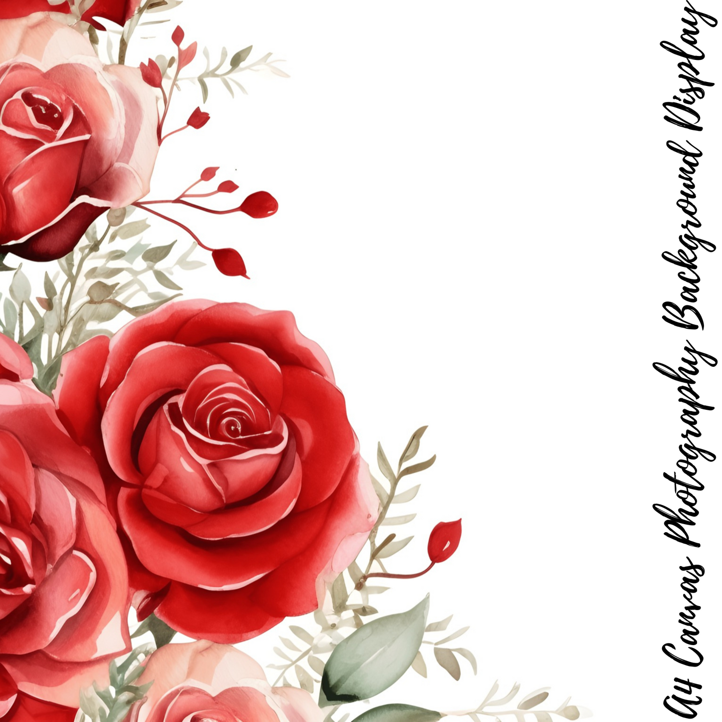 Roses Photography Background Display