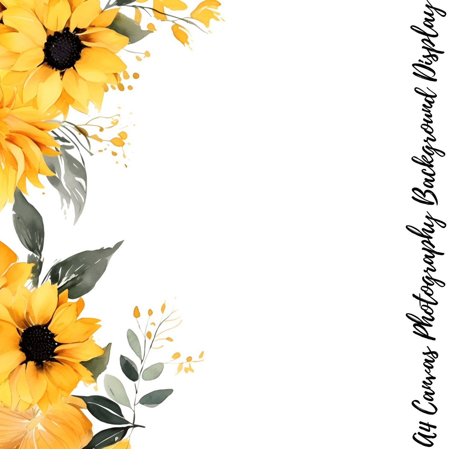 Sunflowers Photography Background Display