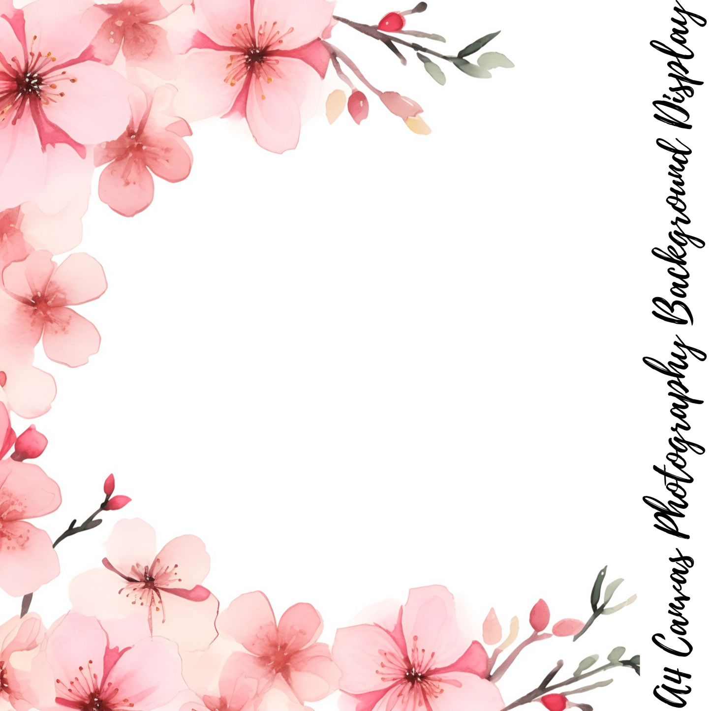 Pink Blossoms Photography Background Display