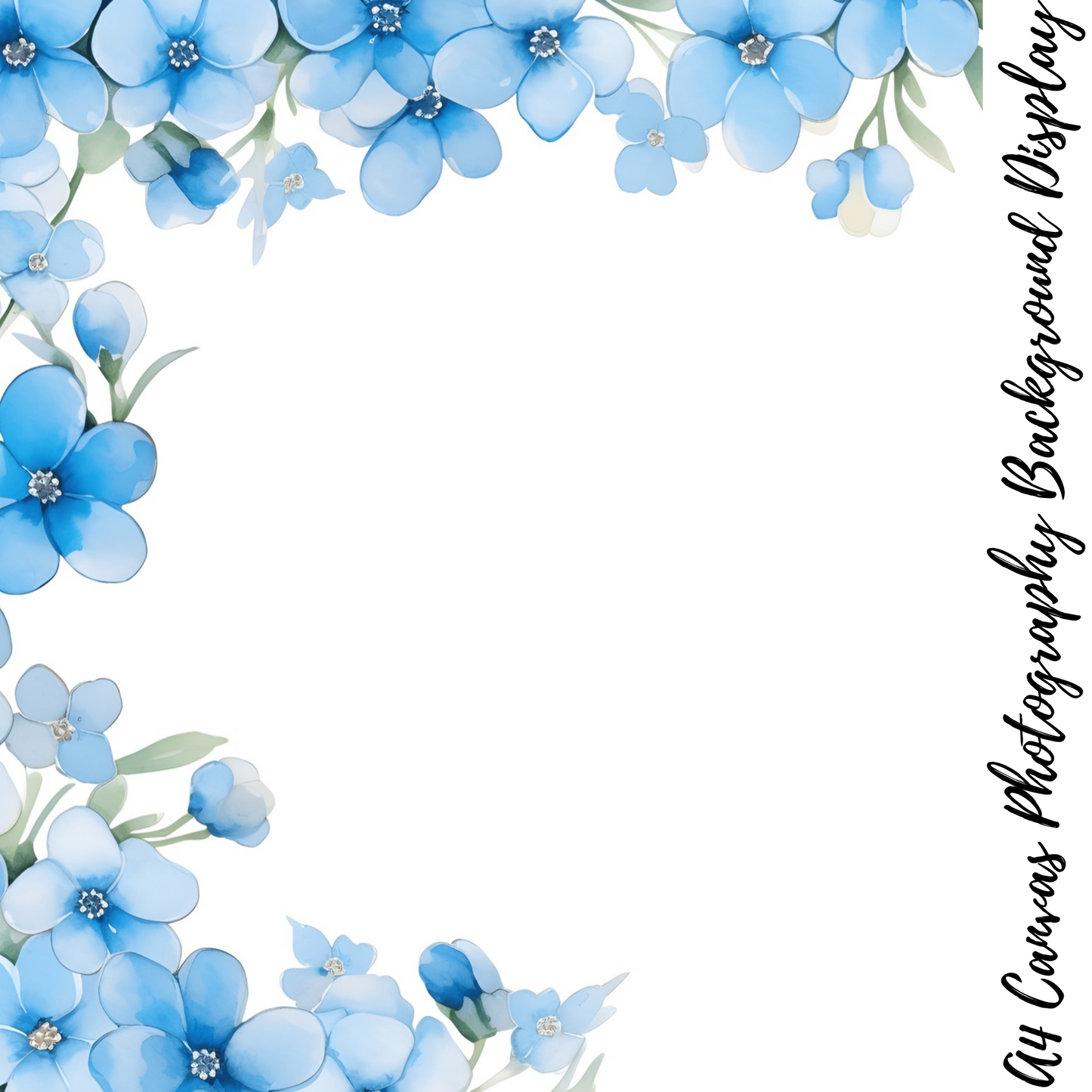 Forget Me Nots Photography Background Display