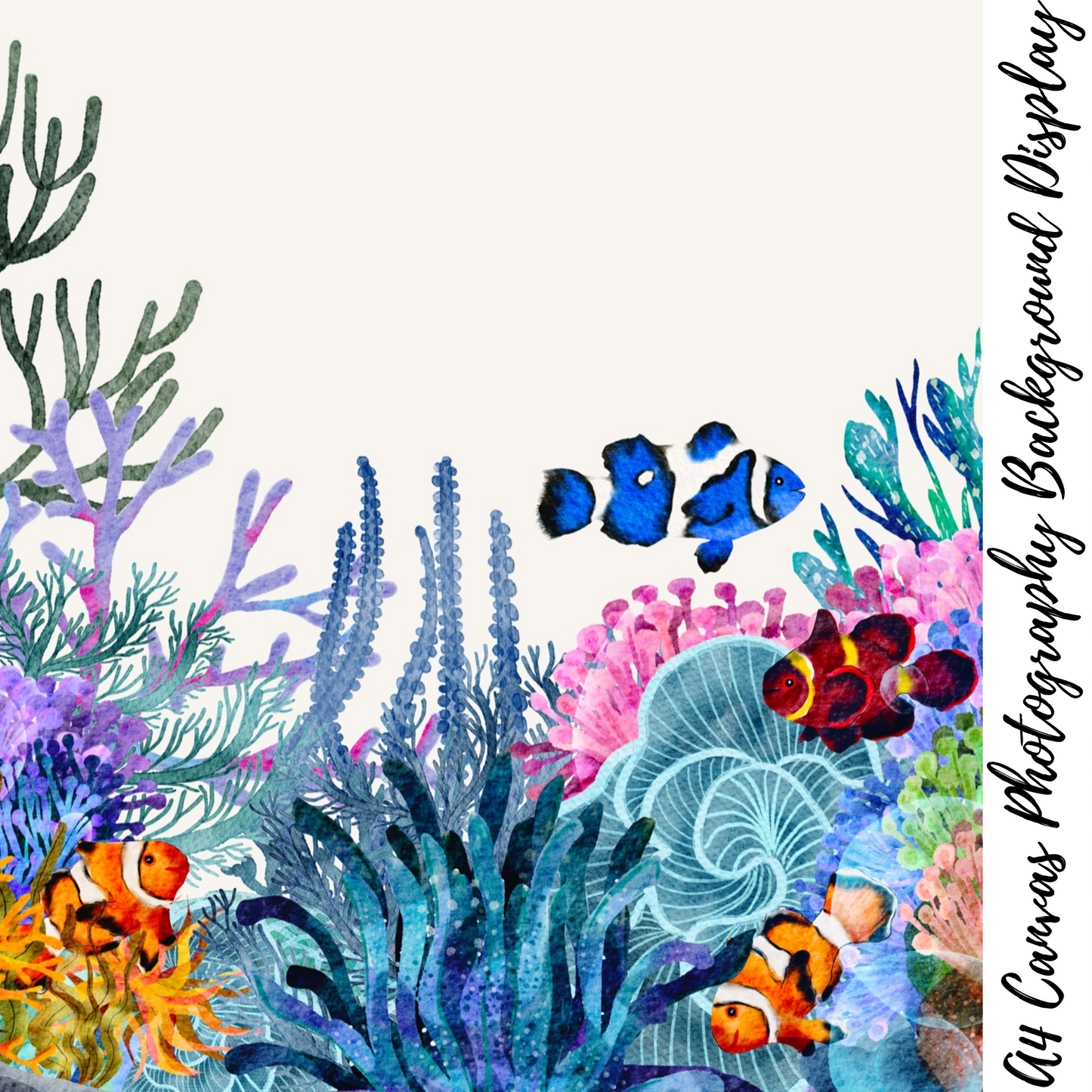 Under The Sea Photography Background Display