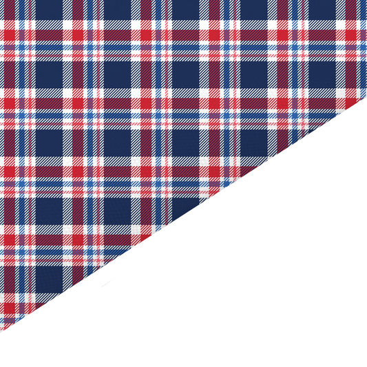 Tartan Canvas And Felt Backed Fabric - SKU I82