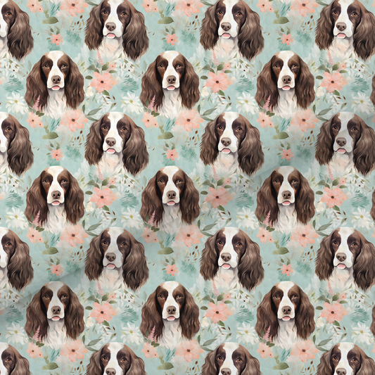 Springer Spaniel Leatherette