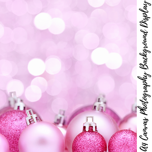 Christmas Photography Background Display