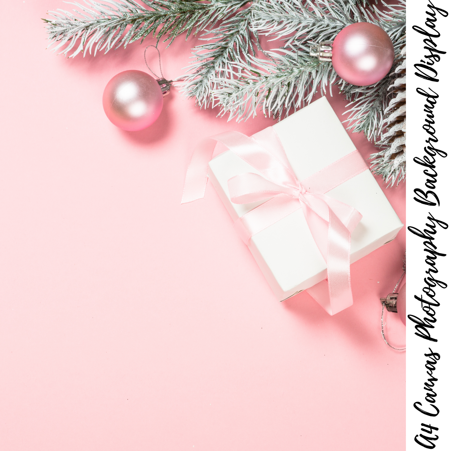 Christmas Photography Background Display