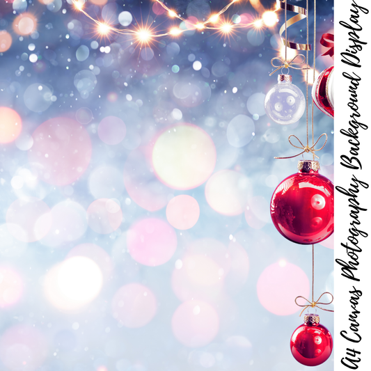 Christmas Photography Background Display