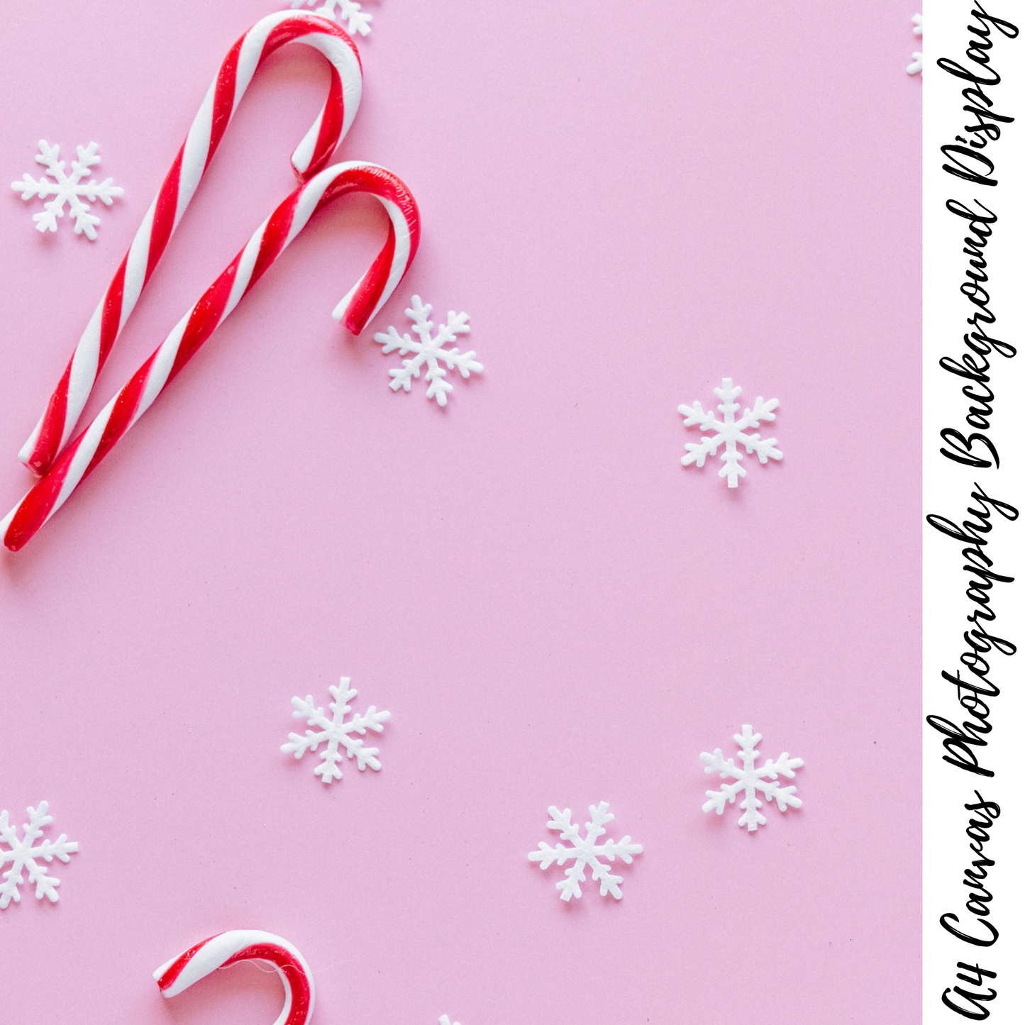 Christmas Photography Background Display