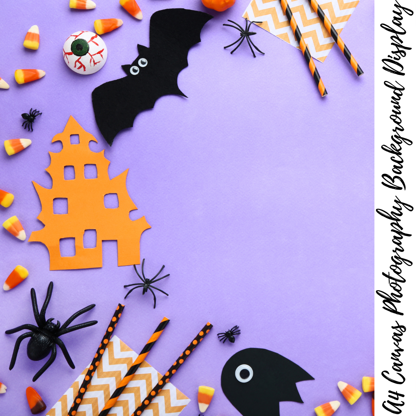 Halloween Photography Background Display