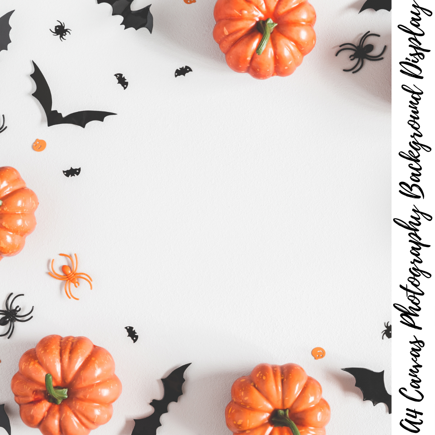 Halloween Photography Background Display