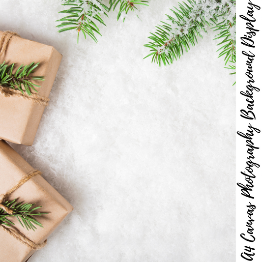 Christmas Photography Background Display