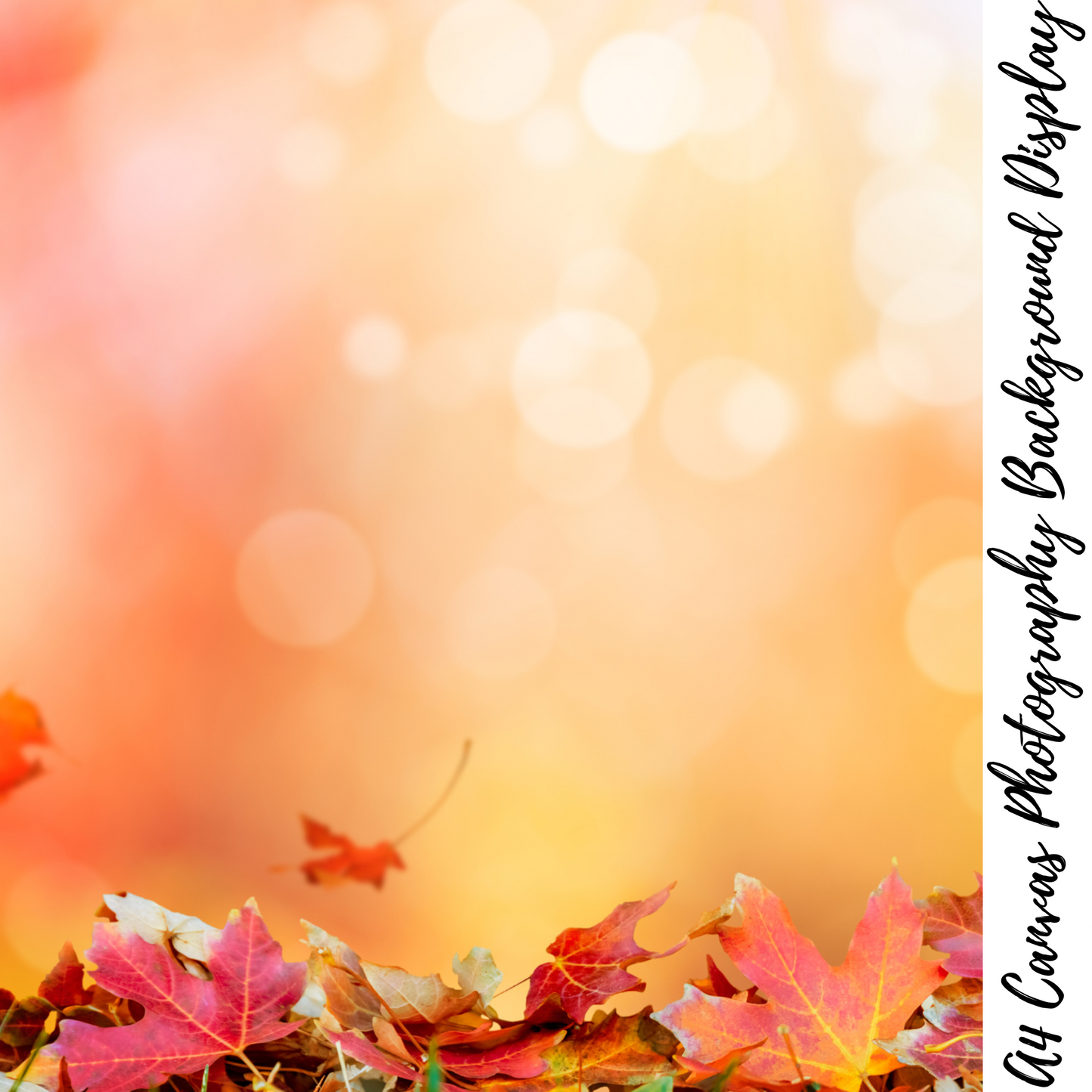 Autumn Photography Background Display