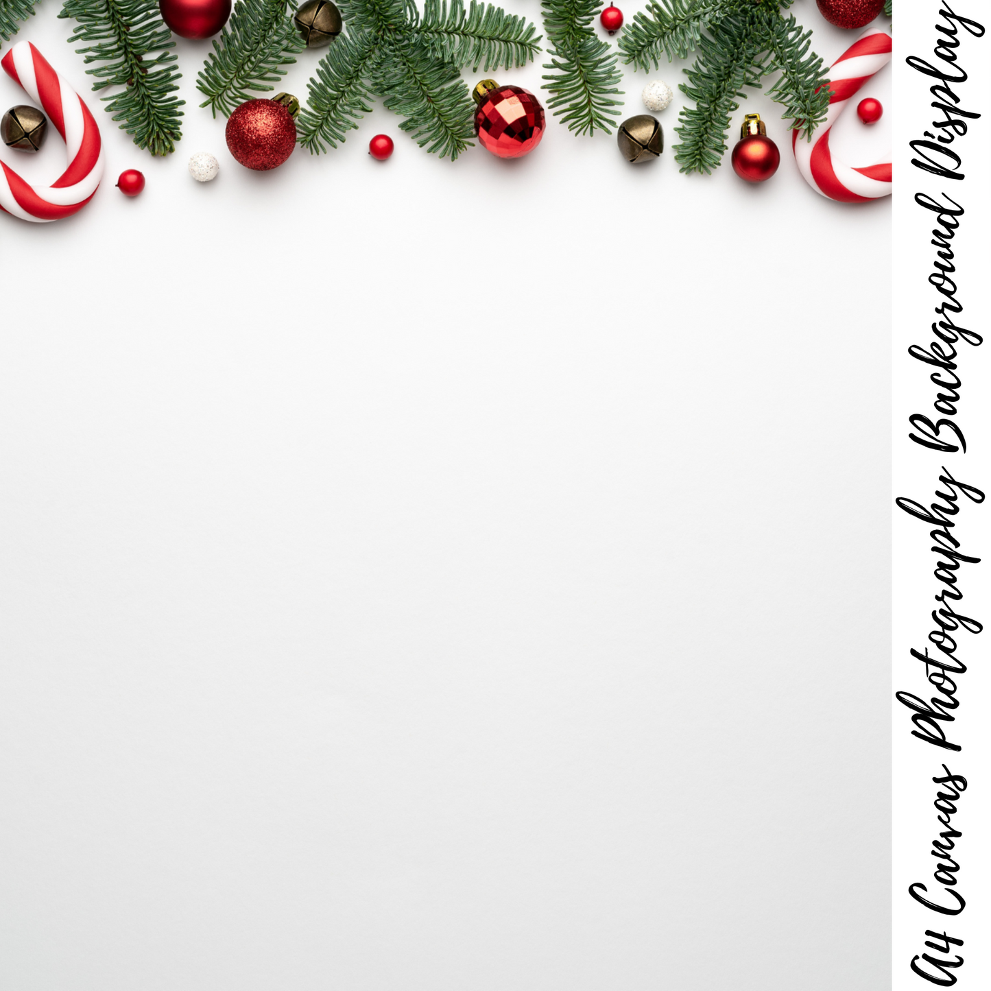 Christmas Photography Background Display