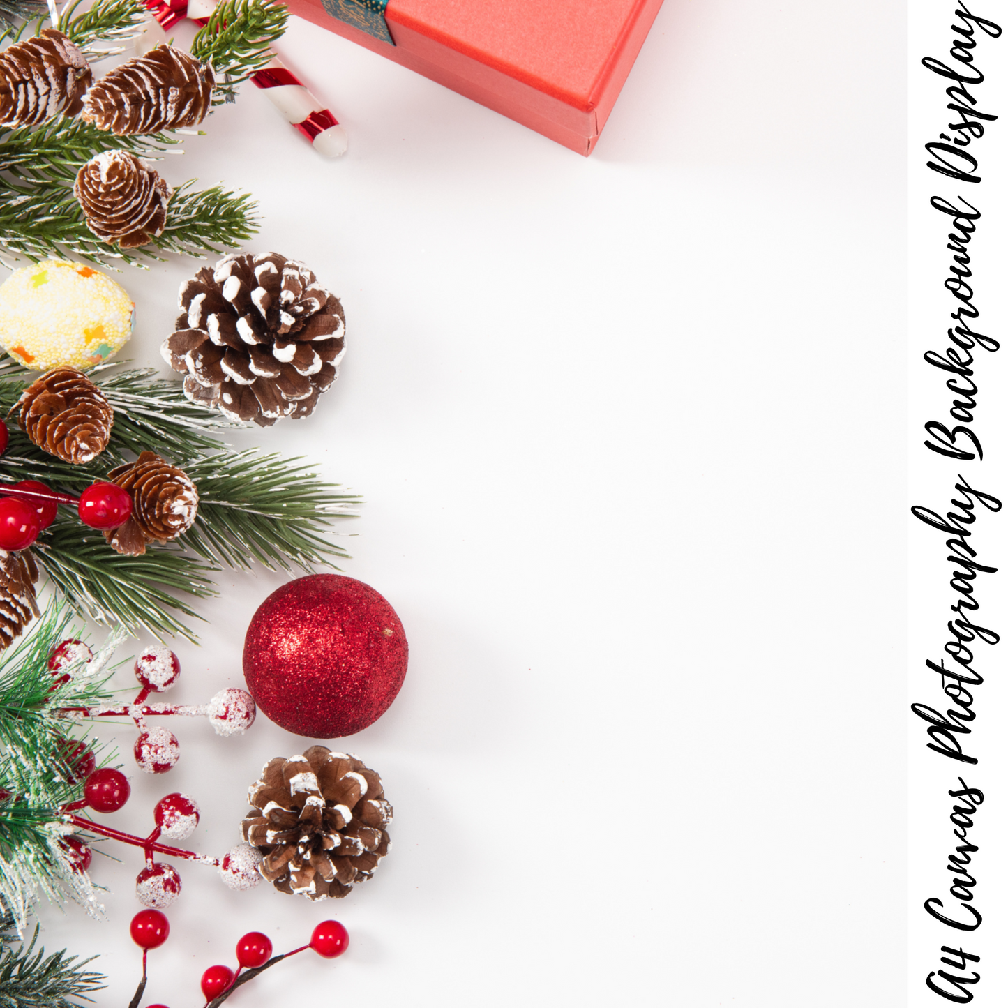 Christmas Photography Background Display