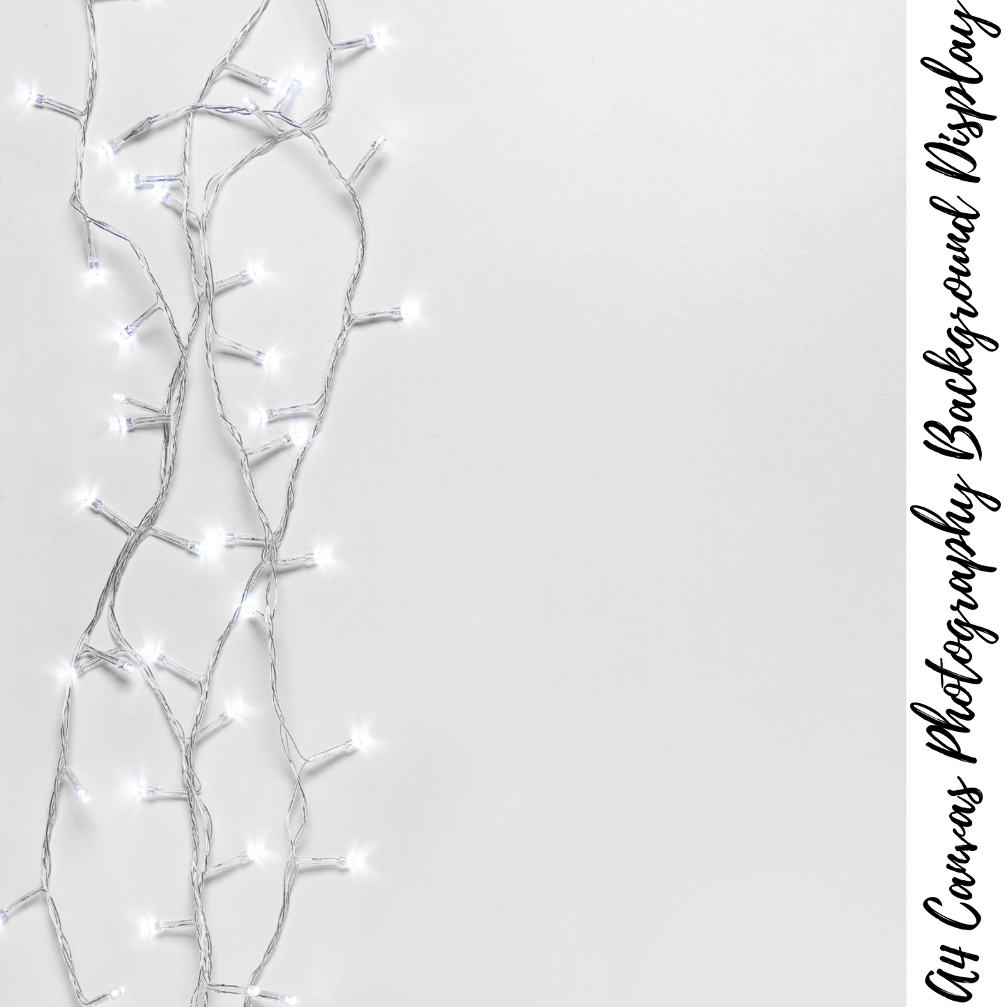 Christmas Photography Background Display