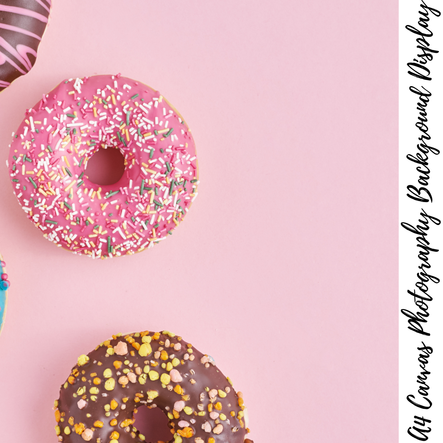 Donuts Photography Background Display