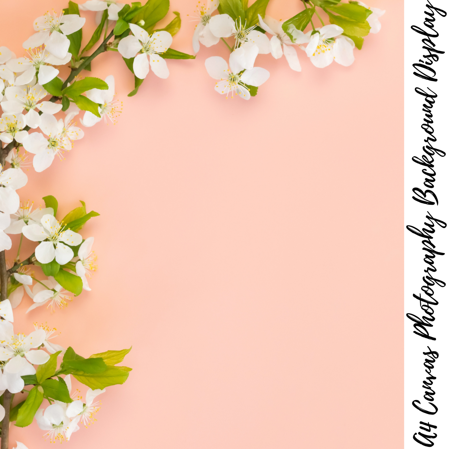 Floral Photography Background Display