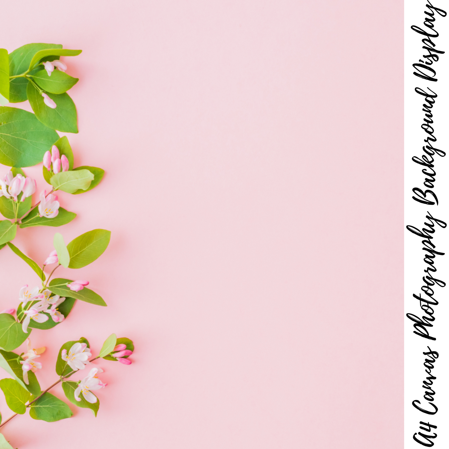 Pink Floral Photography Background Display