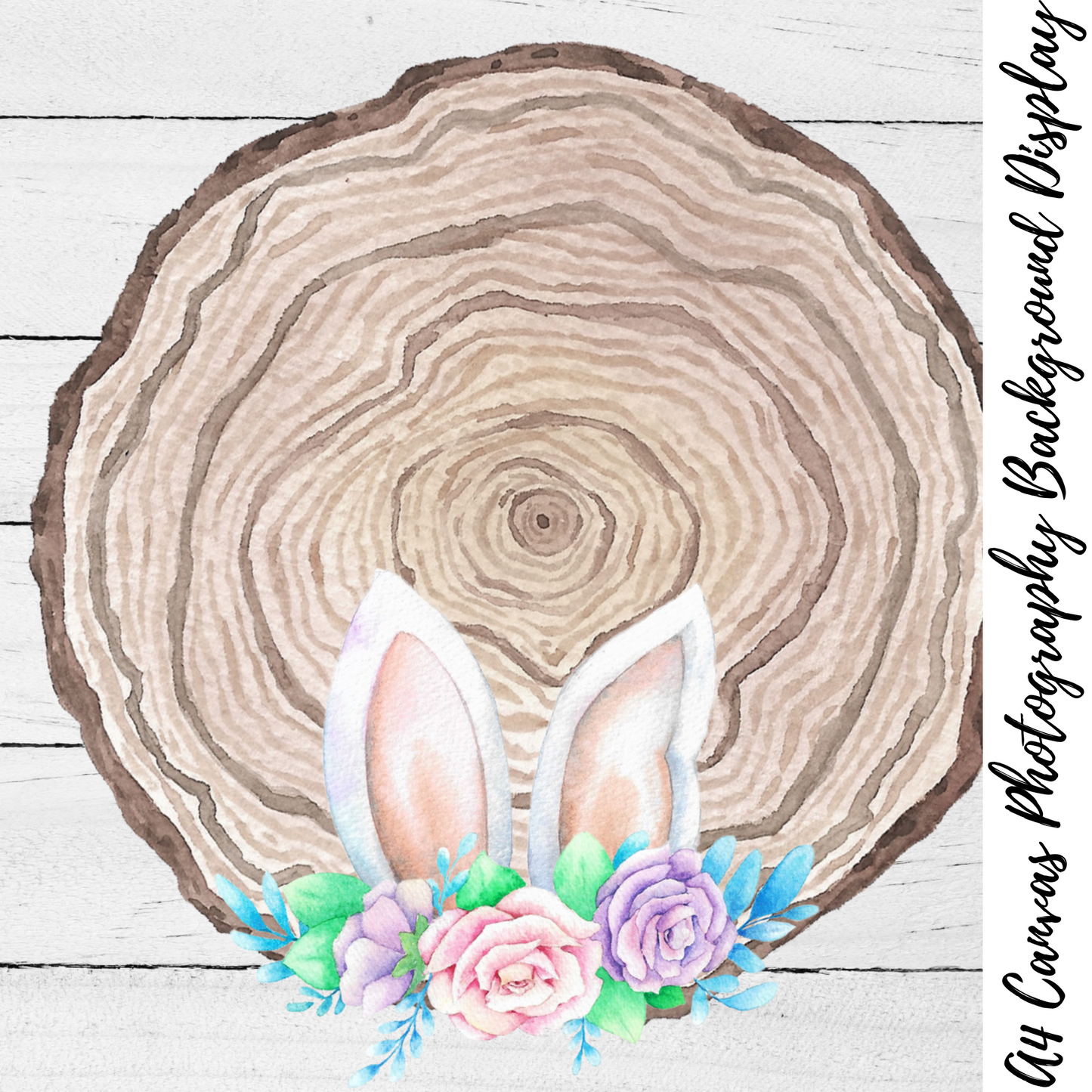 Bunny Ears Wood Slice Photography Background Display