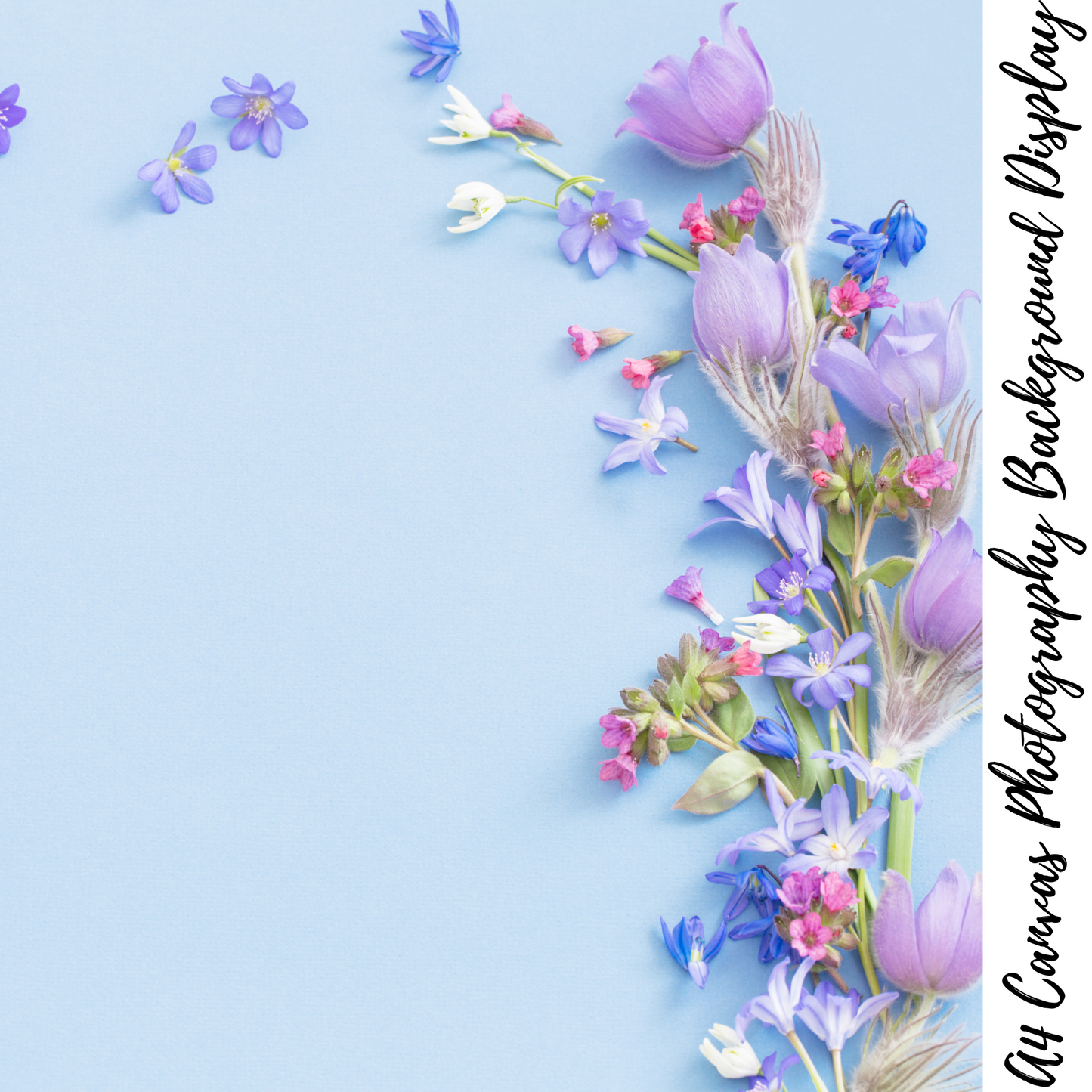 Floral Photography Background Display