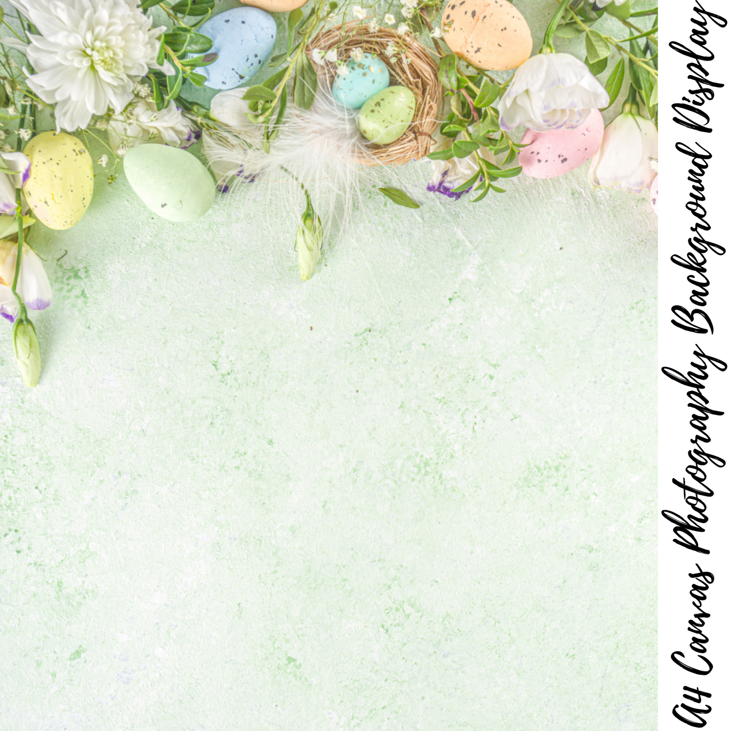 Easter Photography Background Display
