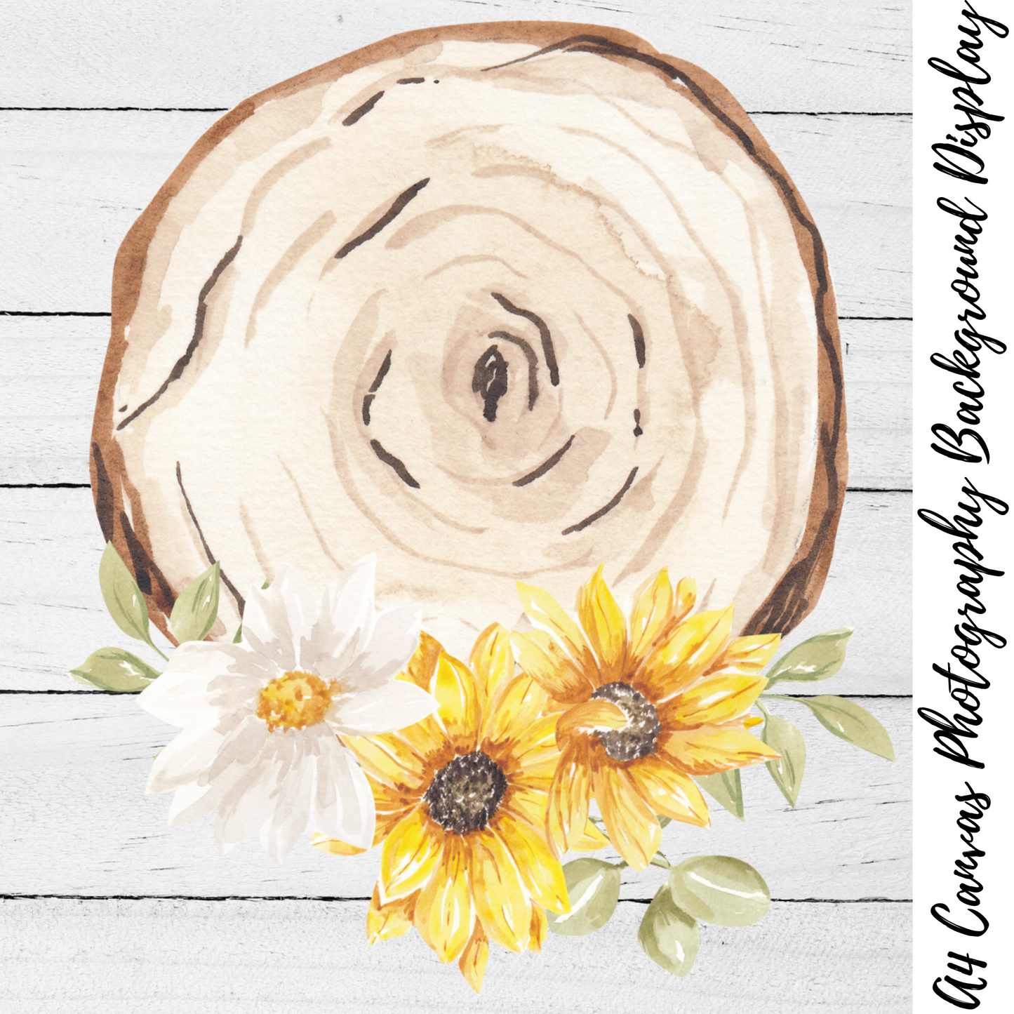 Sunflower Wood Slice Photography Background Display