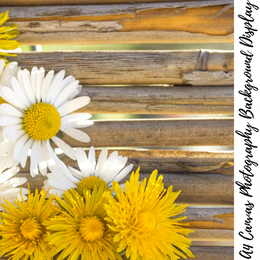 Floral Photography Background Display