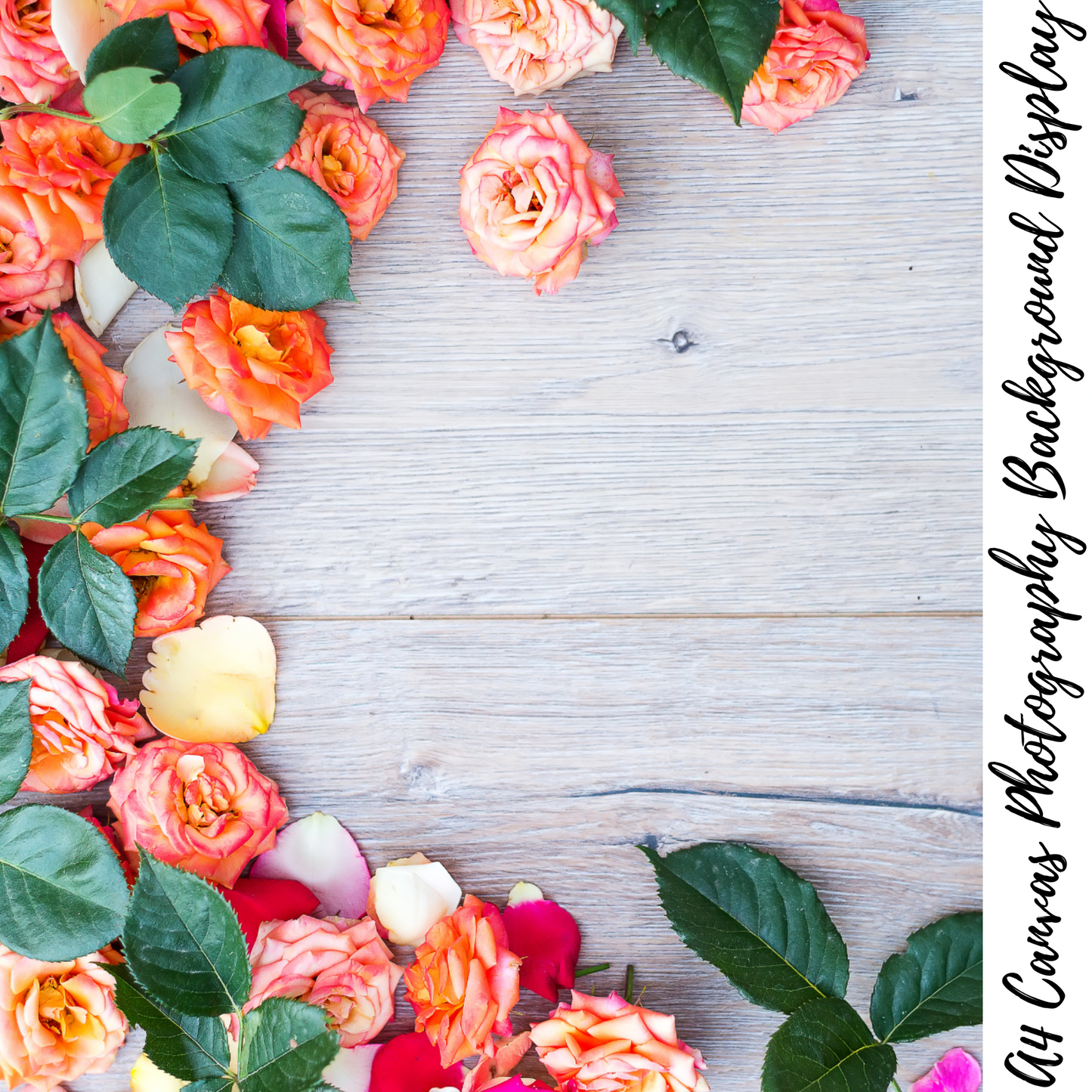 Floral Photography Background Display