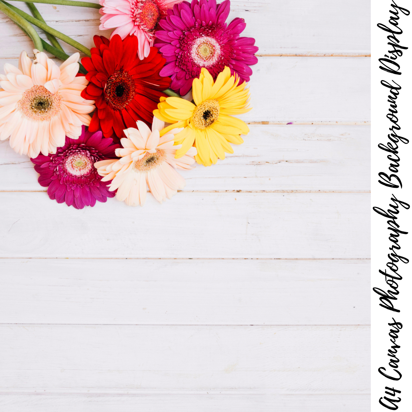 Floral Photography Background Display