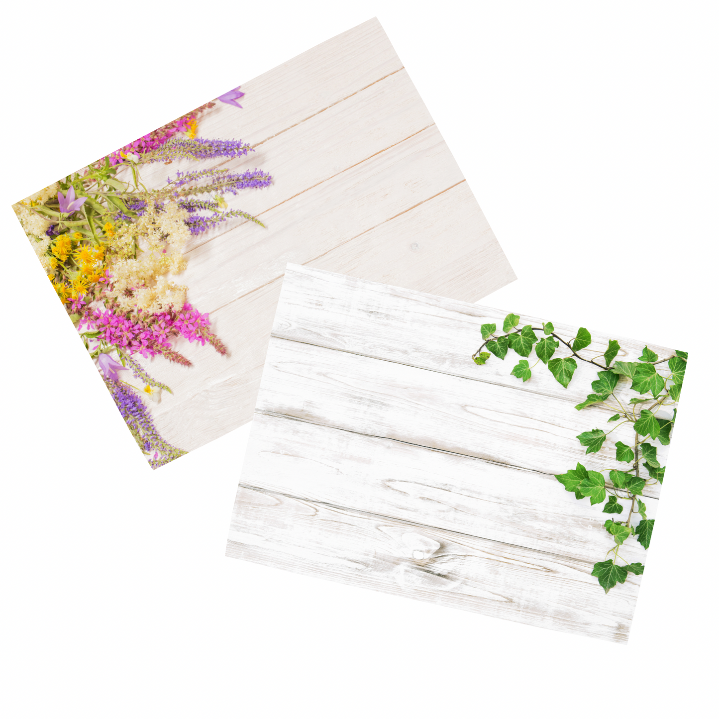 Floral Display Cards • Pack Of 10