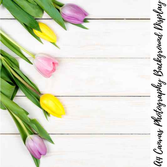 Tulips Photography Background Display