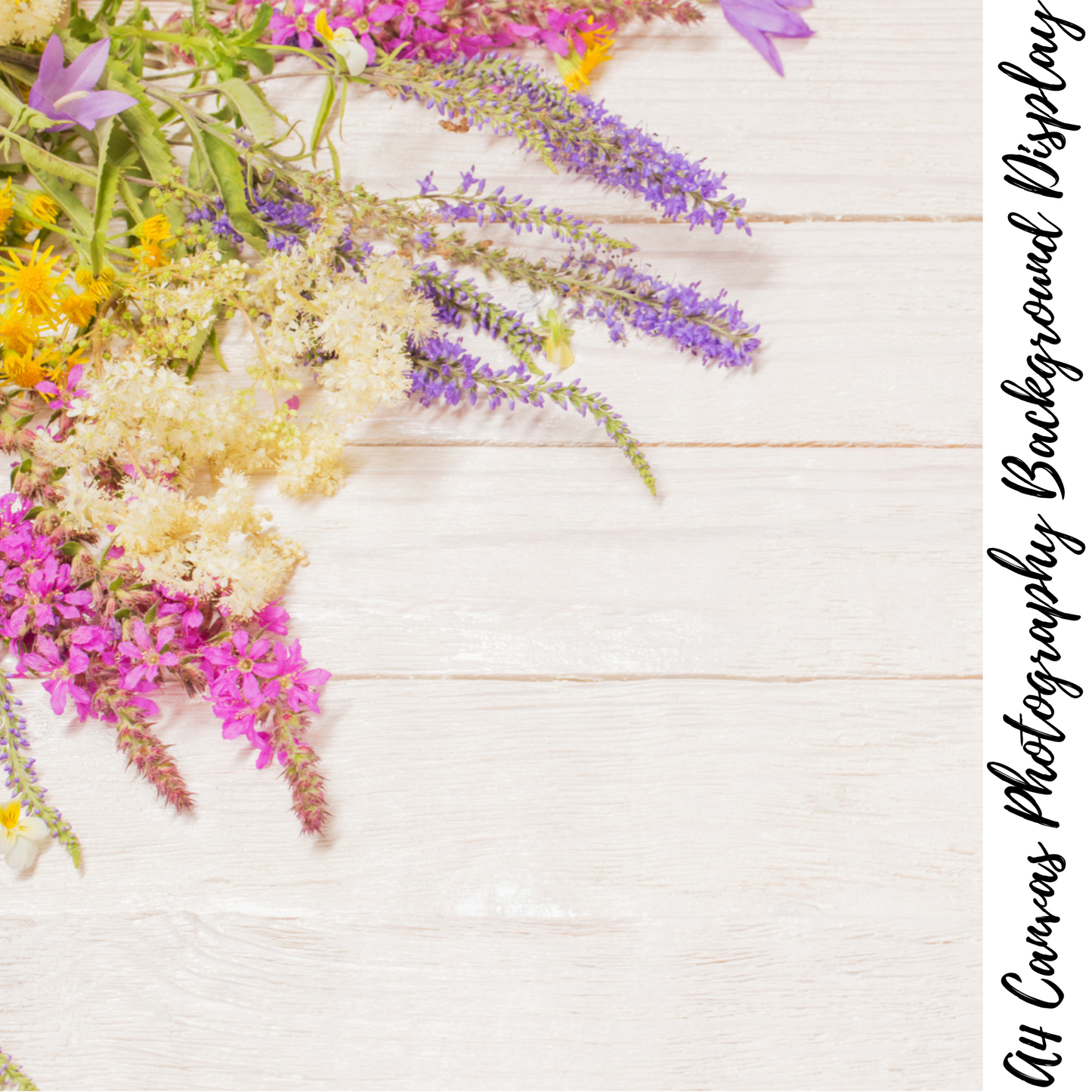 Floral Photography Background Display