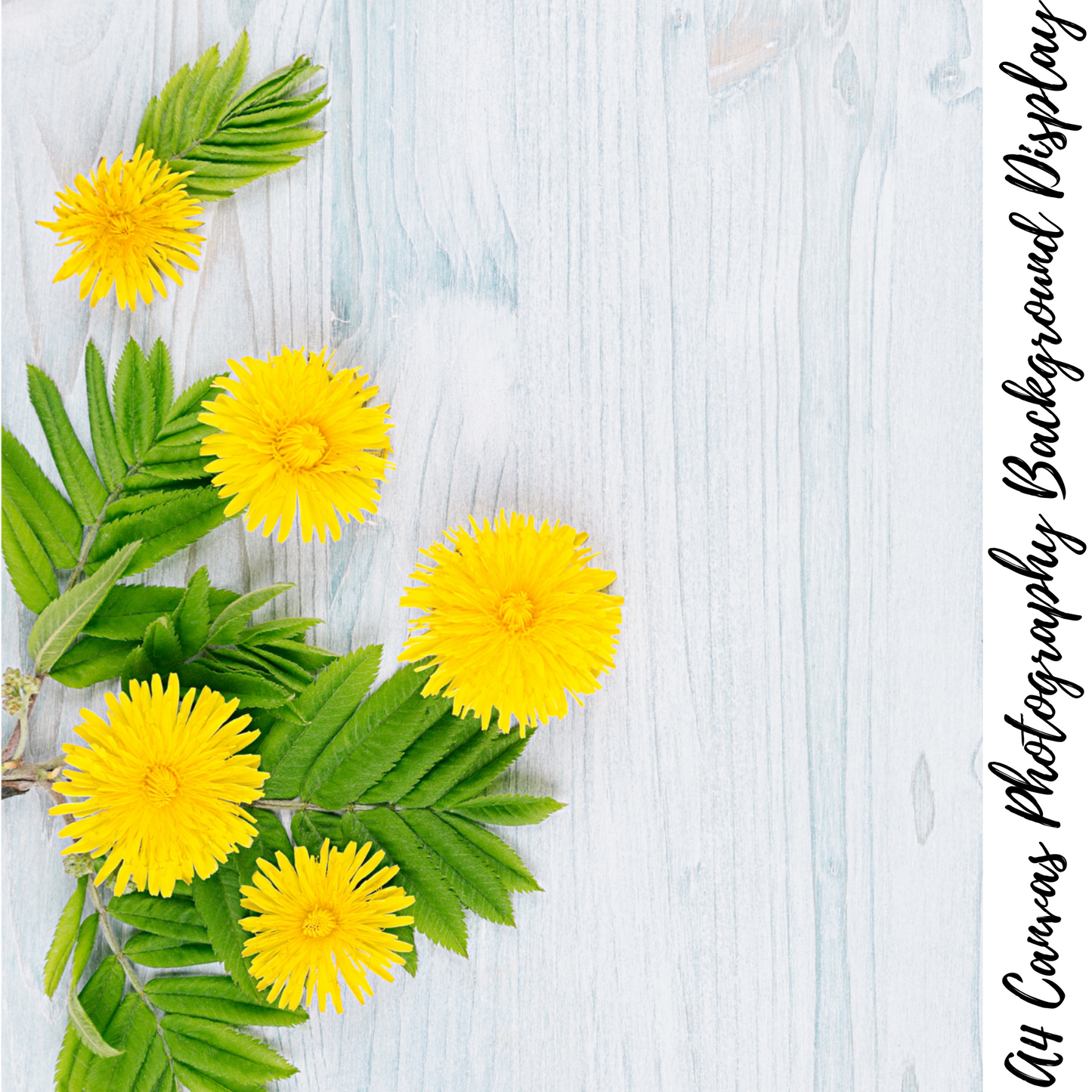 Yellow Floral Photography Background Display